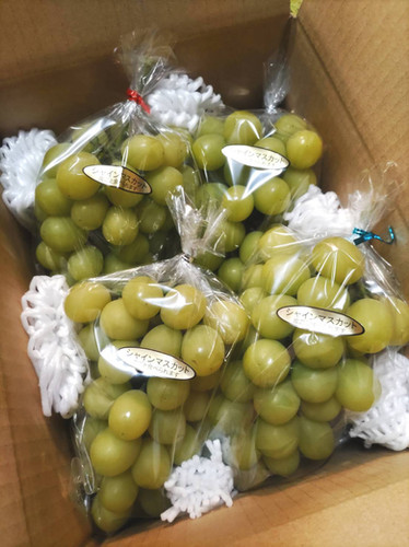 シャインマスカット2キロ
