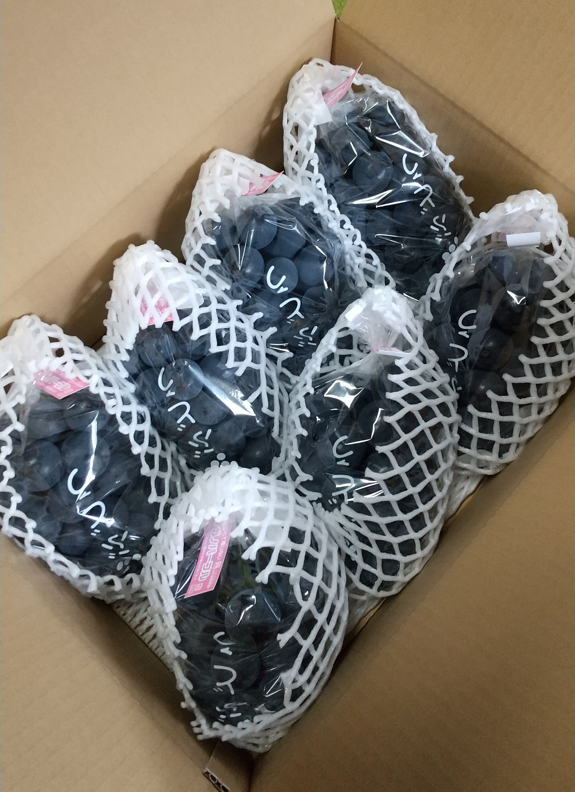 チルド有　大房又は大粒【優品】パープル５キロ（７～８房）