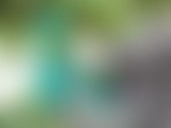 今年は暑いですね~