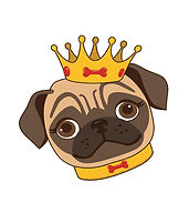 markspaws logo_edited_edited.jpg