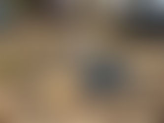 Retour sur le week-end Shinrin Yoku à Bouconne (Avril 2026)