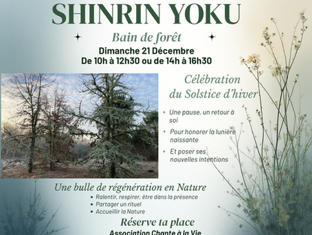 SHINRIN YOKU (bain de forêt) RITUEL DU SOLSTICE D'HIVER