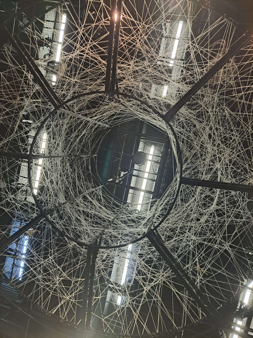 20230413_152654.jpg