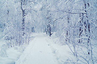 AdobeStock_402864827.jpeg