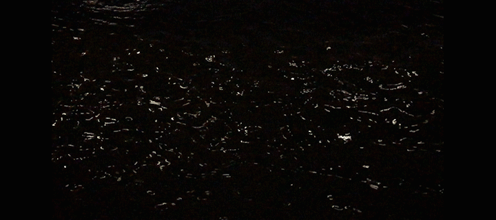 IMG_1970_4.gif