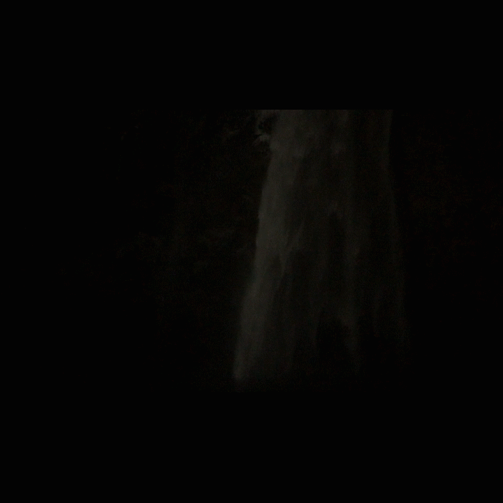 IMG_1970_2.gif