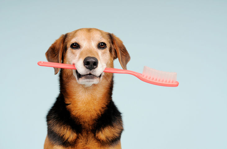 Sedation-Free Dental Treatment