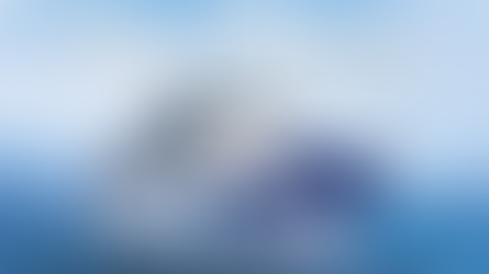 CRUCERO SKY PRINCESS