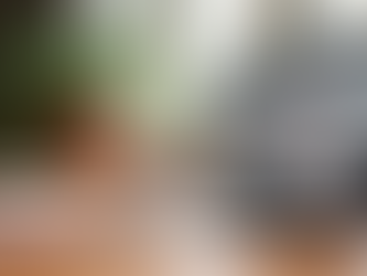 Ultimate Guide: Investing in Rental Properties for Beginners