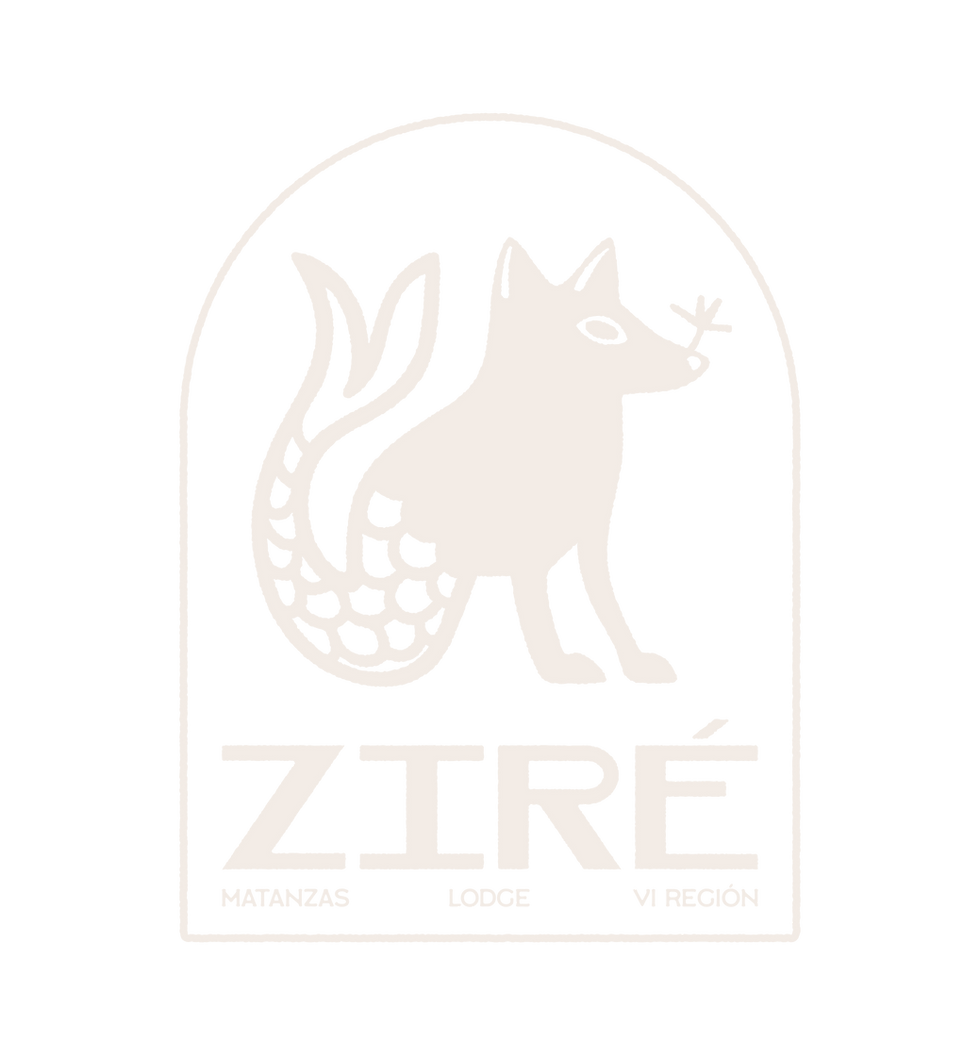 LOGOS CASA ZIRÉ-05.png