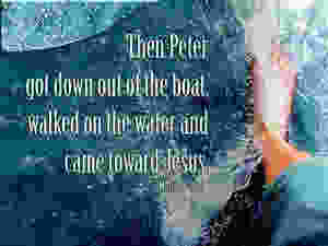 444AB2C9-4427-4FCF-820F-4220CEBA8C2C.jpeg