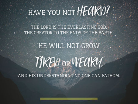 He is!