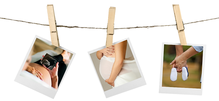 Design sans titre (19).png
