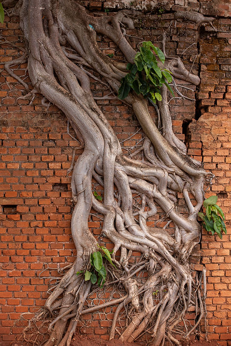 20240918__victoria.kimie_2 (1).jpg