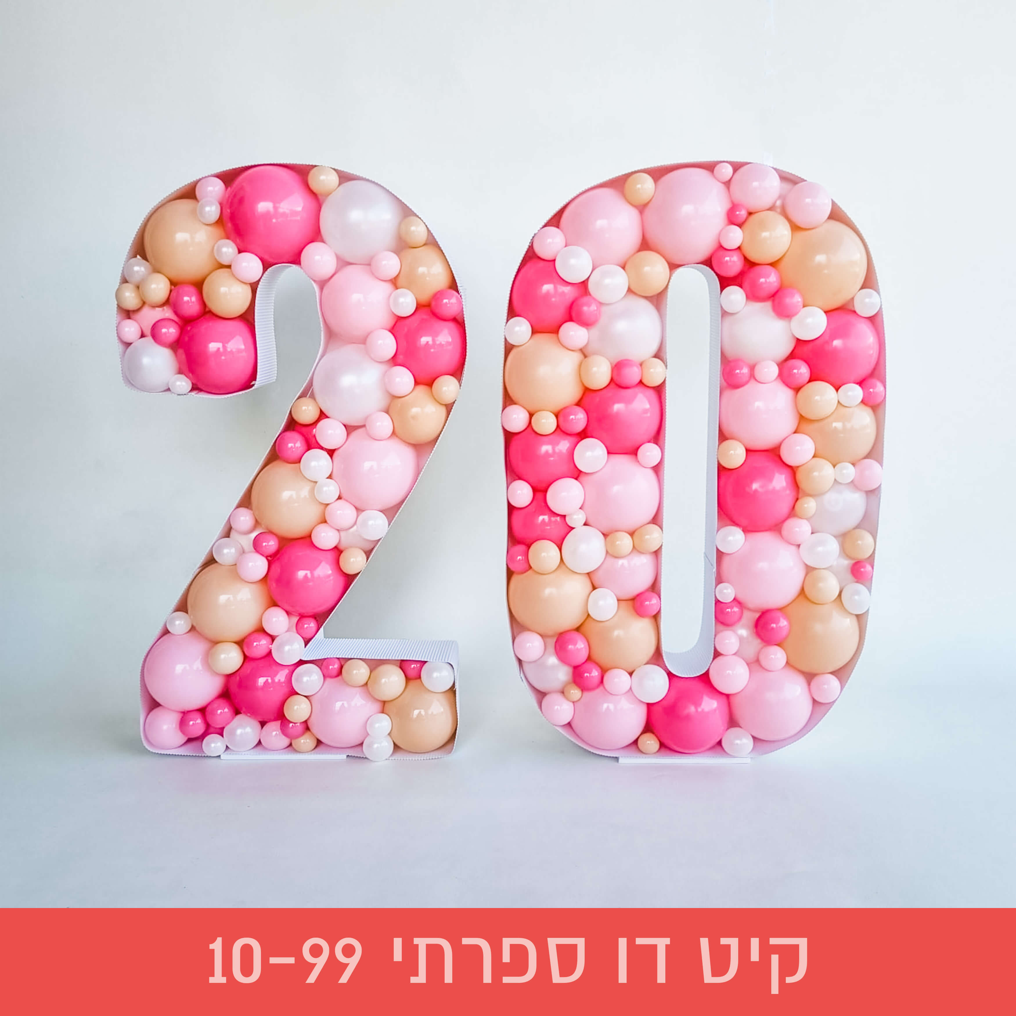 קיט דו ספרתי 10-99