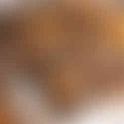 מיני סופגניות קיפודים