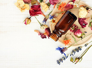 Various%2520bright%2520medicinal%2520her