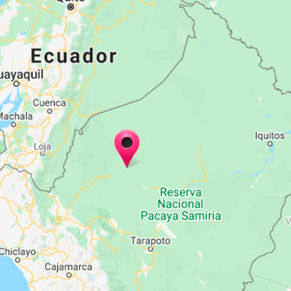 Terremoto de 7,5 grados dejó 10 heridos y 90 damnificados en Amazonas