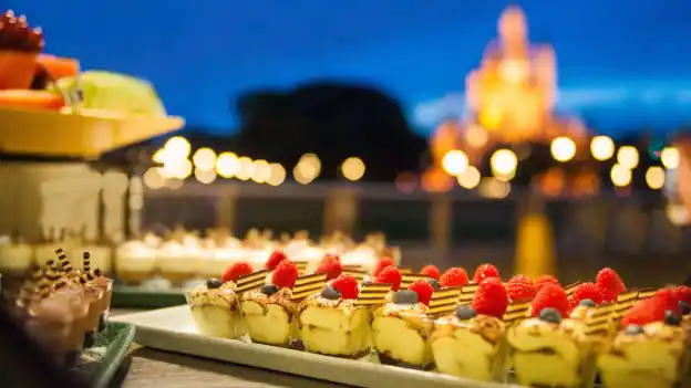 Magic Kingdom After Fireworks Dessert Party
