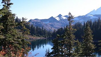 RISE Investments | Comprehensive Wealth Management