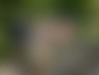 We Ask Brand-Building Expert JF Bonnete About Leading the Terroir Revolution in the US