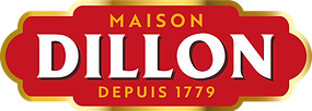 Logo DILLON Couleur 180722.png