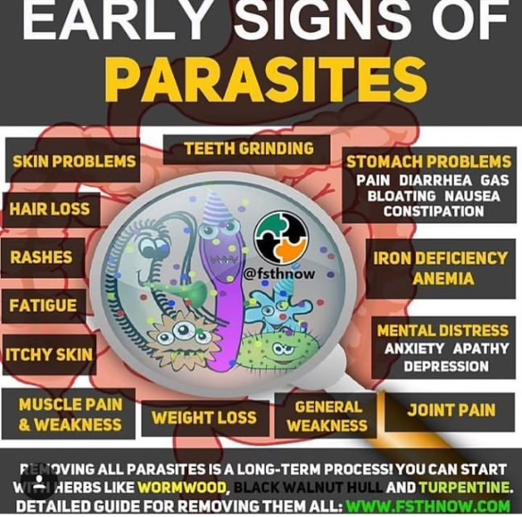 Parasites in Your Body? Here's How to EliminateThem Naturally