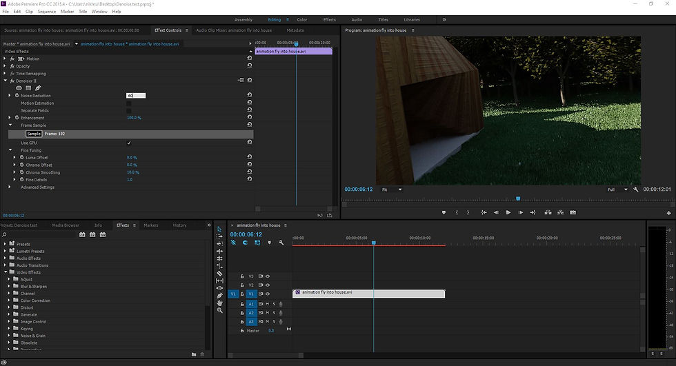 Denoising Clip in Premiere Pro
