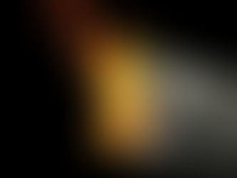 WHY DO INVESTORS BUY U.S. DEBT?