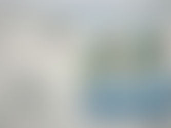 DOES COVID-19 SIGNAL THE END OF AMERICAN DEMOCRACY?