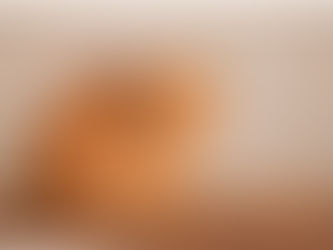 Kater Leo aus Kreuzberg nach 9 Tagen wieder zu Hause