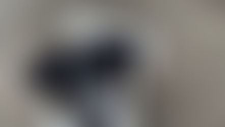 Rüde Santo nach Fahrzeugkontakt in 53343 Niederbachem vermisst