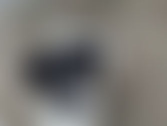 Rüde Santo aus Niederbachem ist nach Fahrzeugkontakt wieder zu Hause