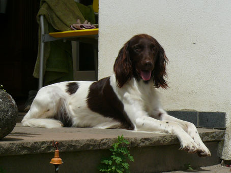 Peggy und Lilly sind wieder zu Hause
