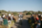 IMG_6337.jpeg