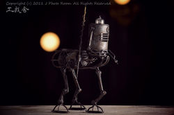 DSC_9739.JPG_effected