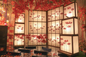 スタジオこむや行徳ブース | スタジオこむや|花の撮影スタジオ|