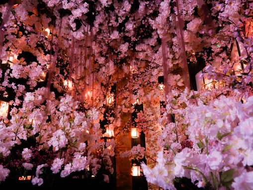 2024年2月：黒ブースのテーマが桜になりました🌸