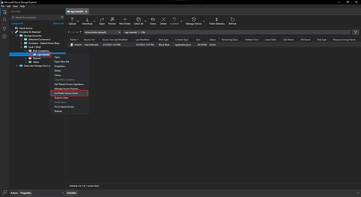 set-public-access-level