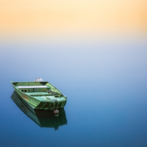 Une alliance dans le repos