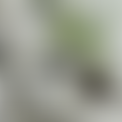 kedi toprak eşeleme hareketi