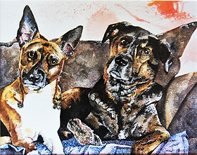 Roxy and Bentley2.jpg