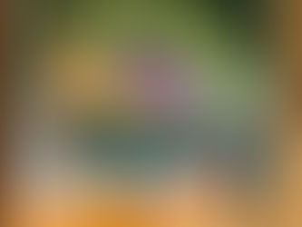 動物病院で言われる食事療法ってなんでしょうか?