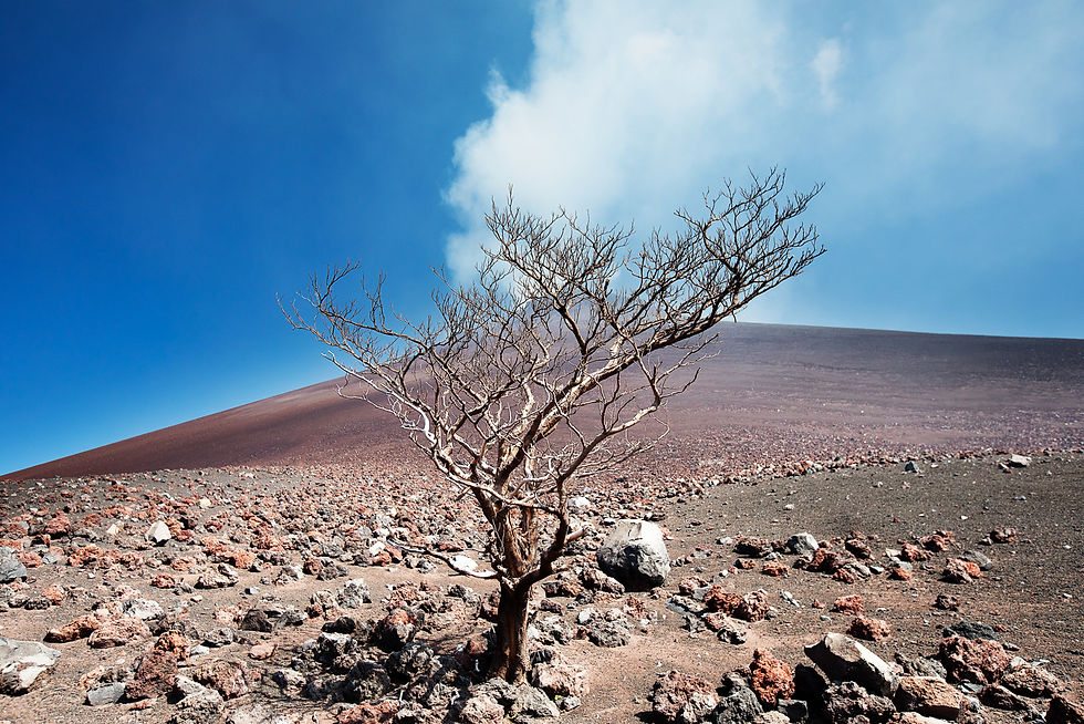 Volcanico - Nicaragua 2017