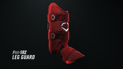 EvoShield Batter's Protection