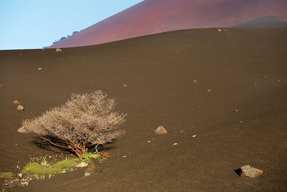 Volcanico - Nicaragua 2017