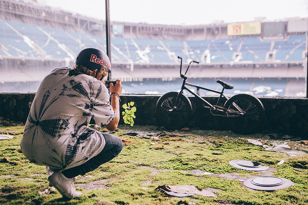 Red Bull Silverdome/Modify Content