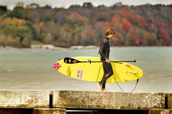 P-20120217-80410_News