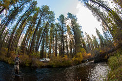 _DSC9580_KCFishingWide_web