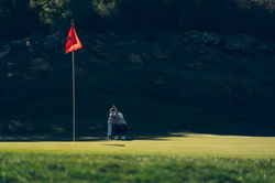 NEWTON GOLF